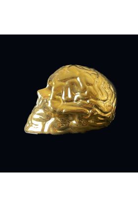 Skull Brain Gold Porcelain Sculpture by Emilio Garcia