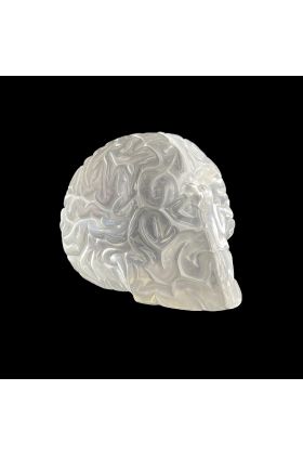 Skull Brain Clear Resin Sculpture by Emilio Garcia