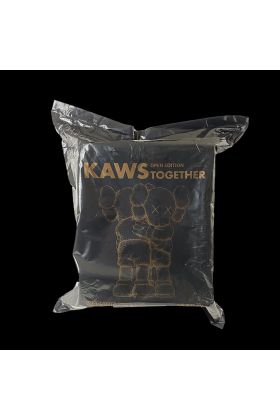 Together Brown Designer Vinyl Toy by Kaws