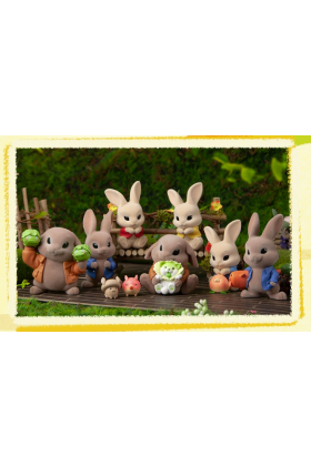 Peter Rabbit x Vegetables Fairy Flocked Blindbox Series
