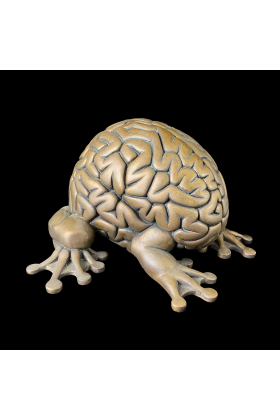 Jumping Brain XL Bronze by Emilio Garcia