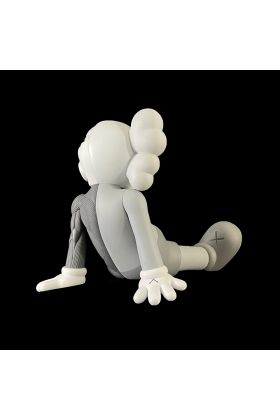 Companion Resting Place Monotone Version - Kaws