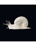 Brain Snail One-Off Sculpture by Emilio Garcia x Tokyoplastic