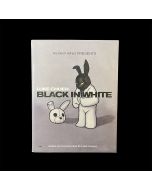 Black in White Designer Vinyl Toy by Luke Chueh