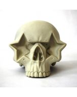 Star Skull - Ron English